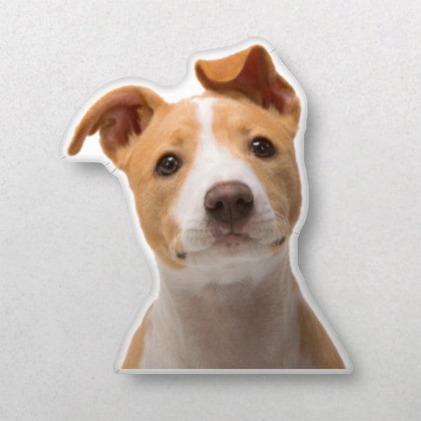 A tan and white dog with a white muzzle and chest, ears adorably mismatched, looks at the camera against a plain light background. This Custom Shape Pet Pillow makes a unique pet memorial or thoughtful gift for any pet lover.