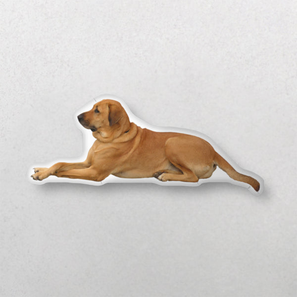 A Custom Shape Pet Pillow designed as a cozy keepsake, featuring a brown short-haired dog lying on its belly with front legs stretched forward and head facing left, set against a light gray background.