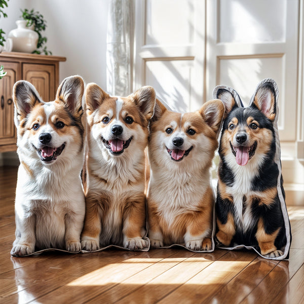 Four happy corgis sit side by side on a sunlit wooden floor, looking at the camera. A Custom Shape Pet Pillow and potted plants add charm to the background near the cabinet.