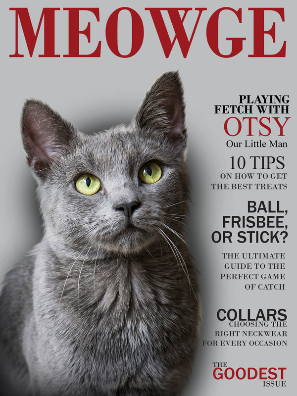 Custom Pet Magazine Covers: A MEOWGE cover with a gray, green-eyed cat—ideal for pet art lovers. Headlines include playing fetch, best treats, picking collars, and tips for ball and frisbee games.