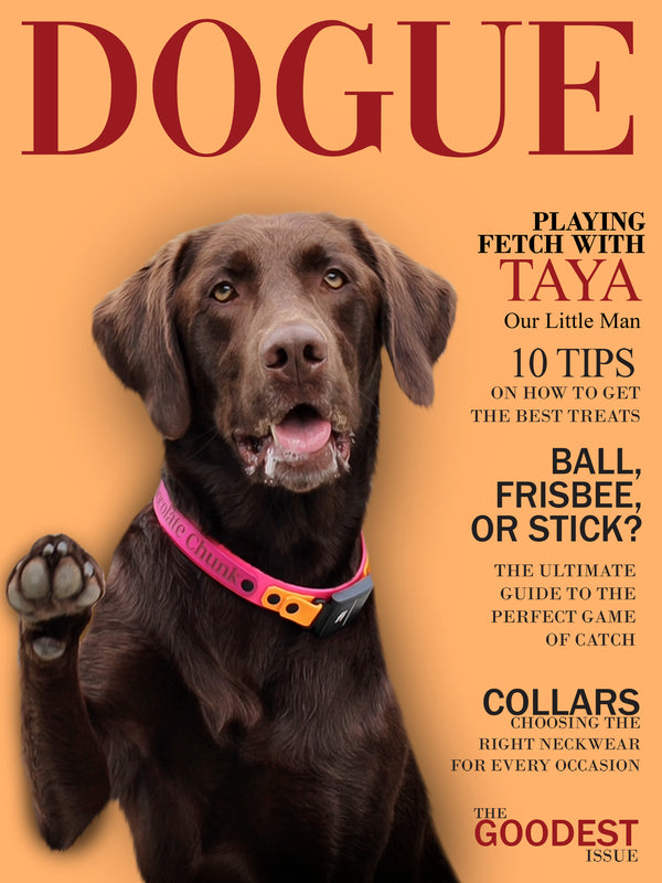 A chocolate Labrador with one paw raised poses on a peach background for a Custom Pet Magazine Cover. Headlines feature fetch tips, best treats, collars, and custom pet portrait ideas in the ultimate fetch games guide.