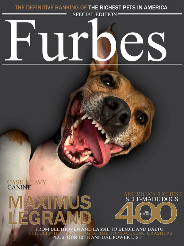 A playful brown and white dog with its mouth open wide is featured on a Furbes parody cover. Capture your pets personality with Custom Pet Magazine Covers—create your own unique dog canvas or custom pet portrait.