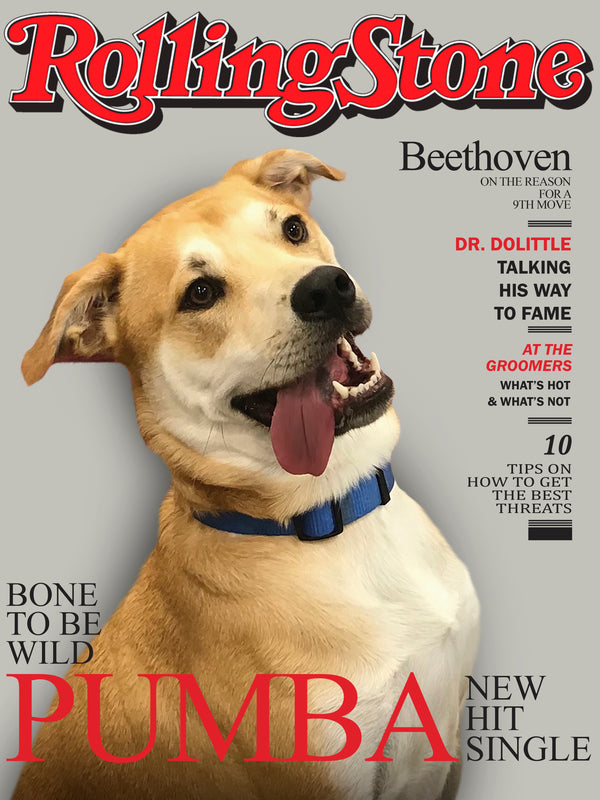 Custom Pet Magazine Covers feature your happy tan dog with a white chest and blue collar as the celebrity, starring in playful, pet-themed articles—perfect as a gift for pet lovers or inspiration for custom pet portrait artwork.