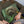 A person in a green sweater holds a Custom Star Wars Pet Cushion, showcasing an illustration of a dog as a Jedi with a green lightsaber.