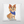 The Custom Disney Pet Cushion features a happy light brown dog with large ears, a blue bandana with pink polka dots, sitting and looking up—perfect personalized gift for pet lovers.