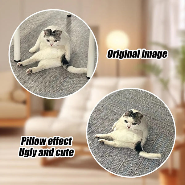 Two side-by-side images feature a white and gray cat sitting with legs splayed; the left says “Original image,” while the right, edited to look fluffier, reads “Pillow effect Ugly and cute”—a fun inspiration for a Custom Ugly Shape Pet Pillow.