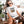 A woman in sunglasses sits on a couch petting a brown and white dog. She wears the Milf vintage pet t-shirt, featuring three cats below the text—a perfect gift for any pet lover. Green plants and cozy decor complete the scene.