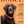 A chocolate Labrador with one paw raised poses on a peach background for a Custom Pet Magazine Cover. Headlines feature fetch tips, best treats, collars, and custom pet portrait ideas in the ultimate fetch games guide.