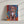 The Oil Masterpiece - Custom Pet Portrait features a brown puppy with white markings on a vivid red, blue, and orange abstract background—an ideal personalized canvas for pet lovers or as a unique gift.