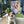 A white and brown dog with a yellow collar lies on a balcony floor in front of the Abstract Masterpiece - Custom Pet Portrait. Potted plants and greenery can be seen in the background.