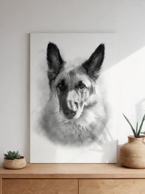 A wooden dresser with two potted plants sits below The Pencil Sketch Art—a striking black-and-white custom portrait of a German Shepherd—illuminated by sunlight from a nearby window.